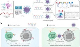 抗体 在线观看,探索免疫系统的守护者